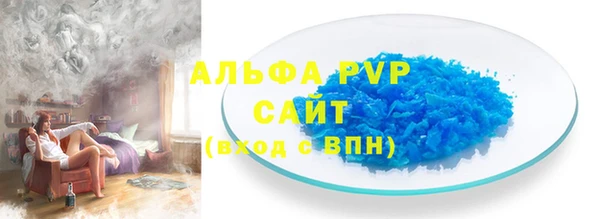 гашик Алексин