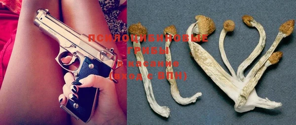 PSILOCYBIN Абаза