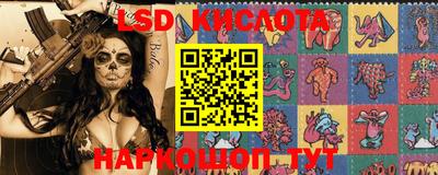 тгк Новодвинск