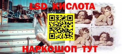 тгк Новодвинск