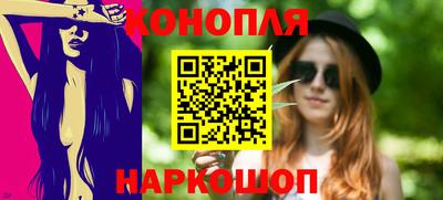 тгк Новодвинск