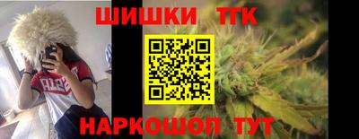 тгк Новодвинск