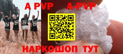 тгк Новодвинск