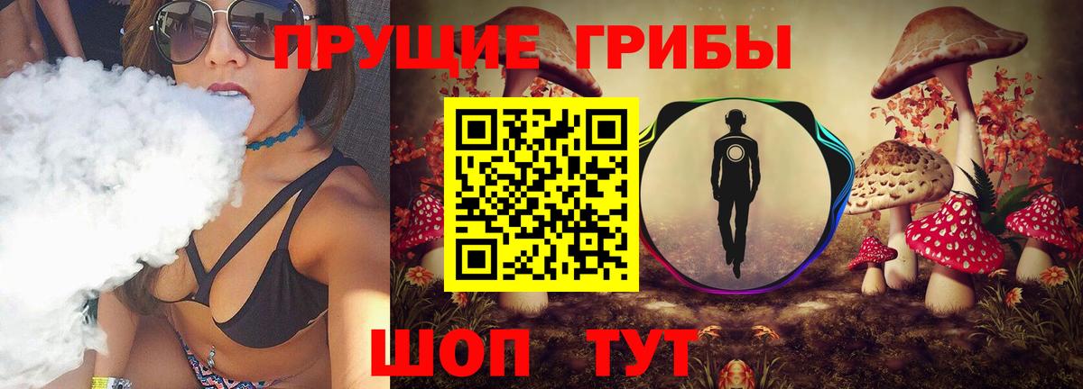 Псилоцибиновые грибы Psilocybine cubensis Шахты