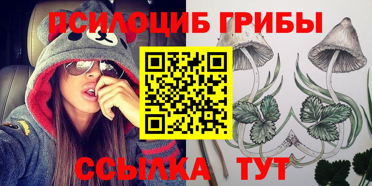 Псилоцибиновые грибы Psilocybe  Вход с VPN  Шахты 